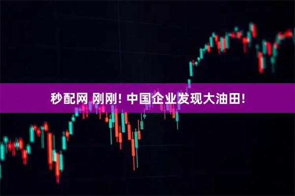秒配网 刚刚! 中国企业发现大油田!