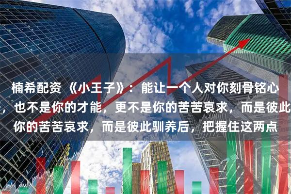 楠希配资 《小王子》：能让一个人对你刻骨铭心的，从来不是你的讨好，也不是你的才能，更不是你的苦苦哀求，而是彼此驯养后，把握住这两点