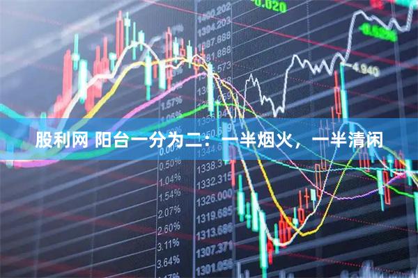 股利网 阳台一分为二:一半烟火,一半清闲